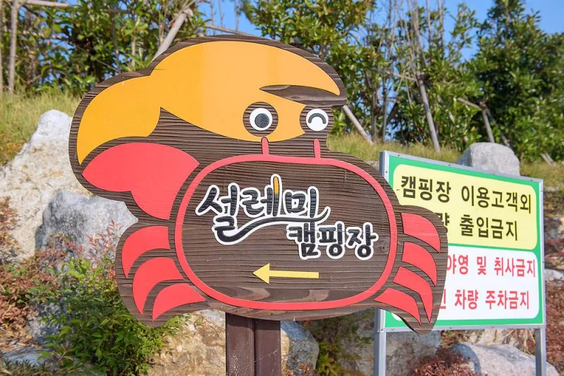 신안우전설레미캠핑장 3