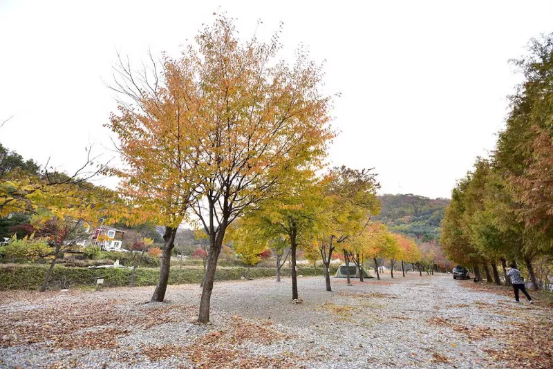 은석캠핑장 8