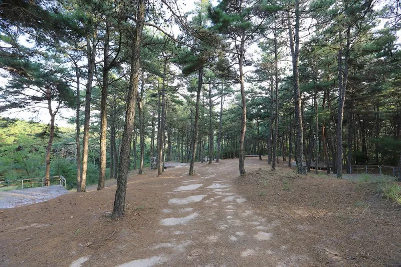 파인힐캠프 7