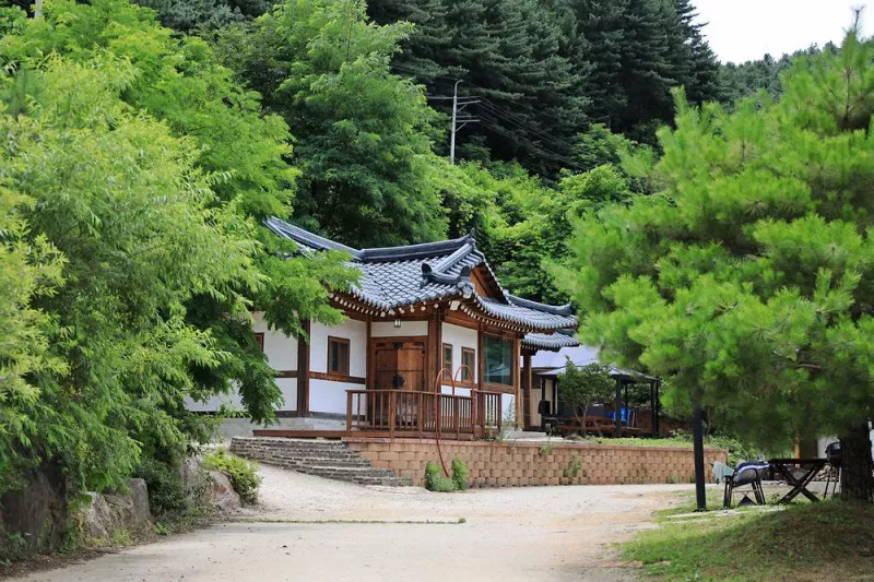 새연 글램핑 카라반 설악2호점 10