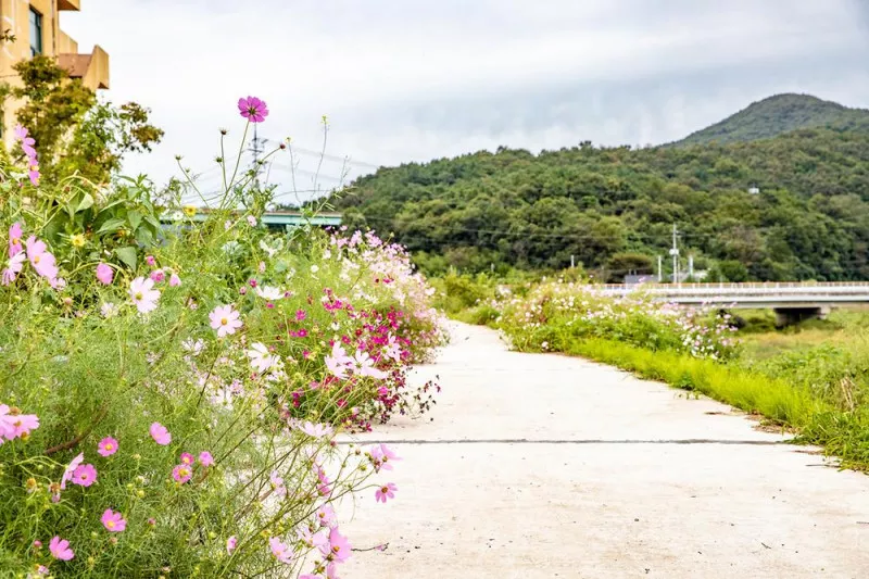 정안 글램핑 8