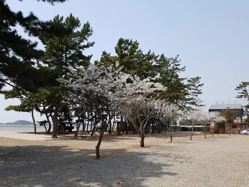 나라펜션캠핑장 3