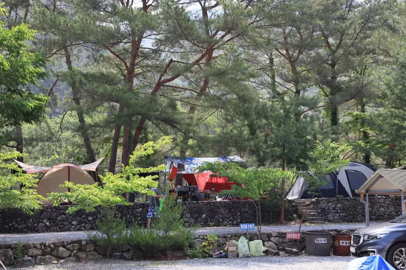 내리계곡 솔바람 캠핑장 5