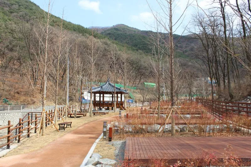 진밭골야영장 4