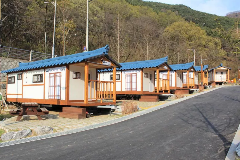 진밭골야영장 9