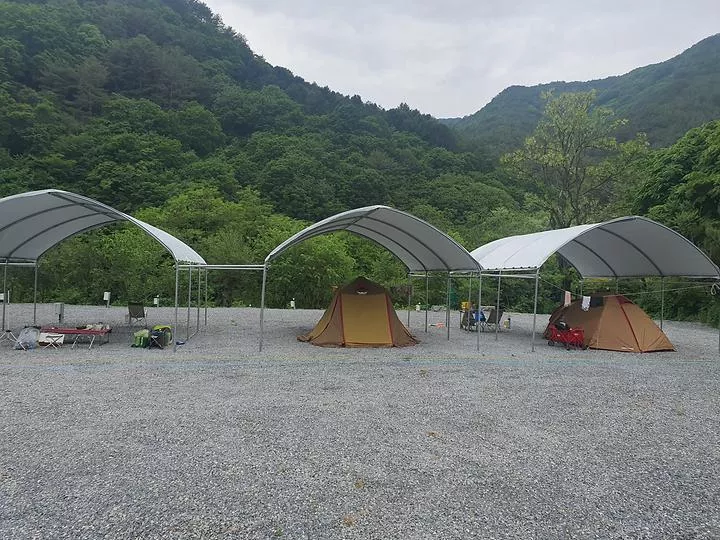하우스 캠핑장 1