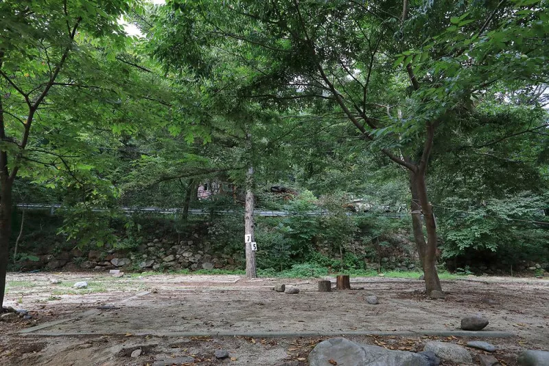마방캠핑장 10