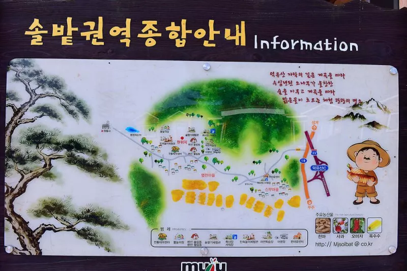 무주 솔밭야영장 2
