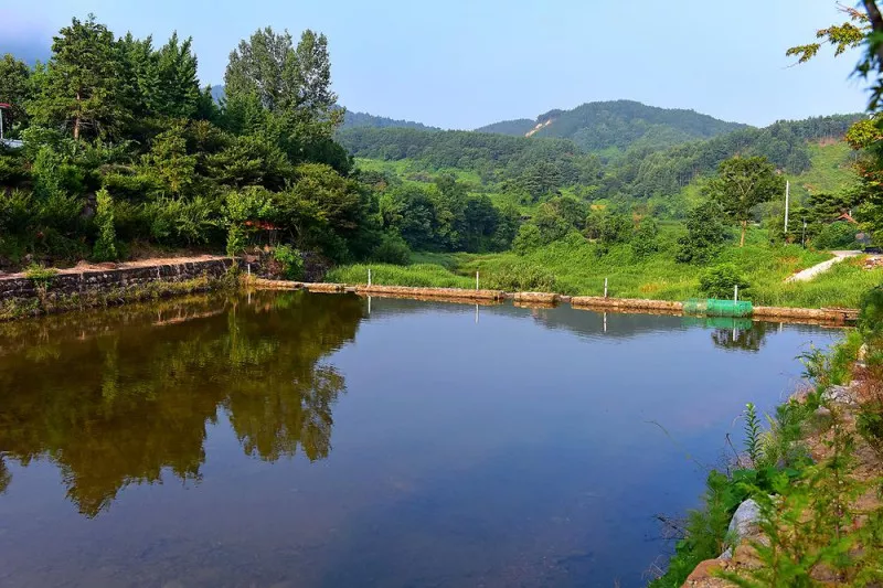 무주 솔밭야영장 3