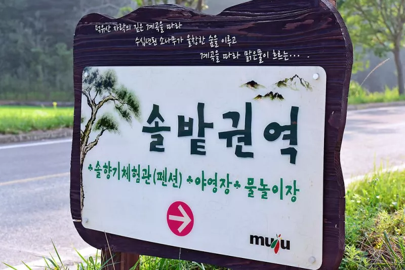 무주 솔밭야영장 9