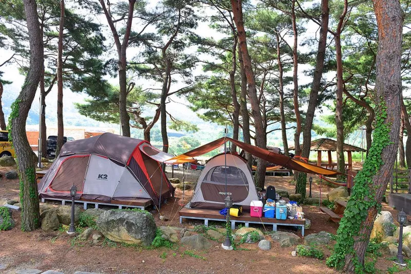 무주 솔밭야영장 8