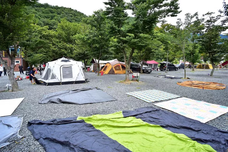 밀양표충오토캠핑장 4