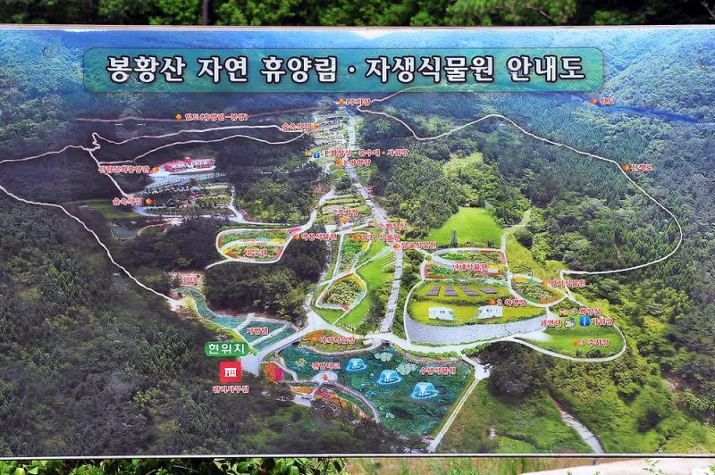 봉황산자연휴양림 야영장 8