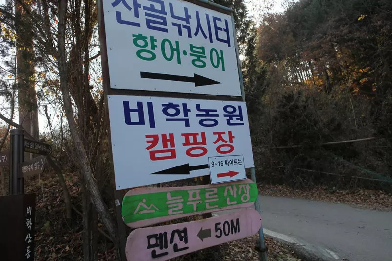비학농원캠핑장 5