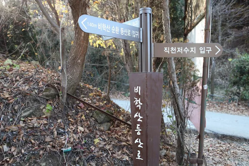 비학농원캠핑장 2