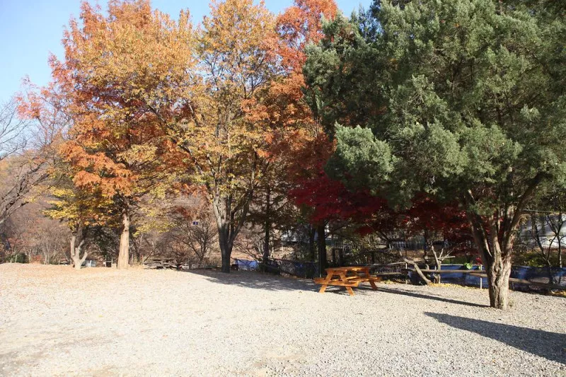 비학농원캠핑장 6