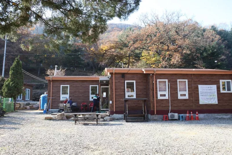 비학농원캠핑장 7