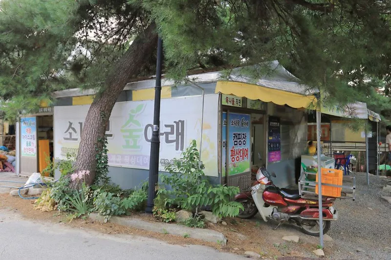 소나무숲아래 7