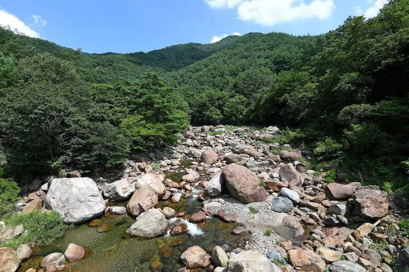 소막골야영장 11