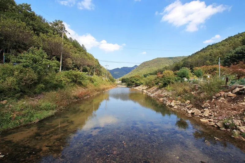 속리산알프스캠핑장&펜션 6