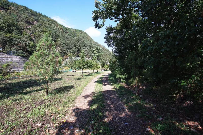 속리산알프스캠핑장&펜션 8