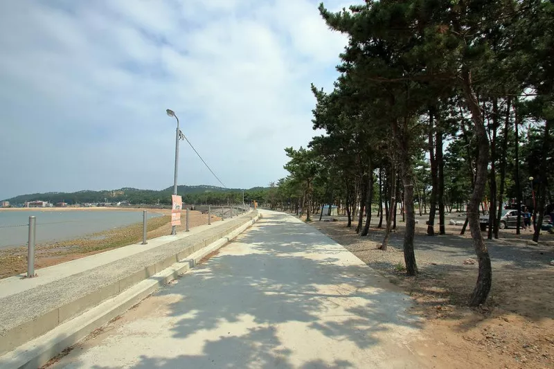 어은돌송림캠핑장 7