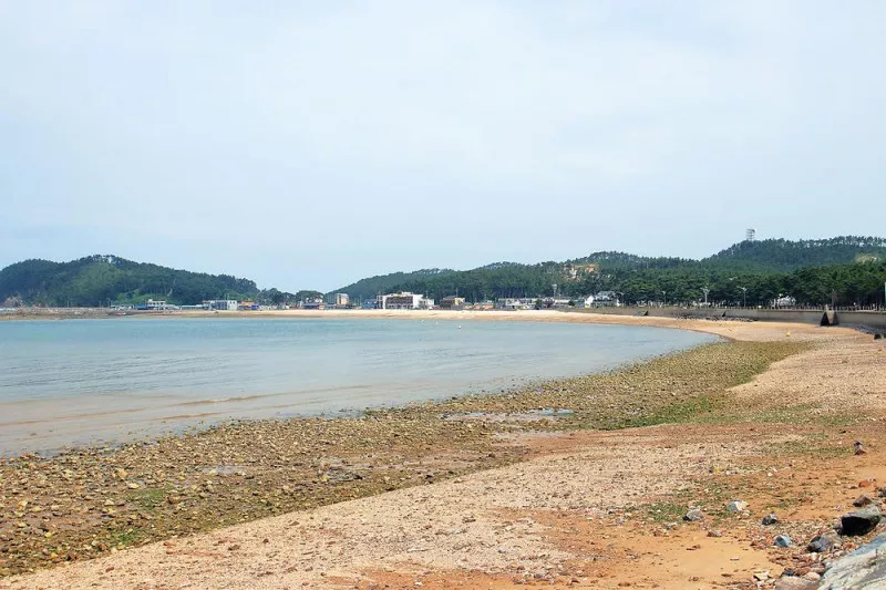 어은돌송림캠핑장 9