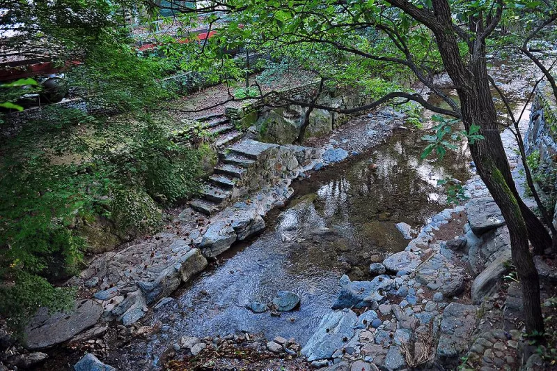 수목원프로방스 캠핑장 8