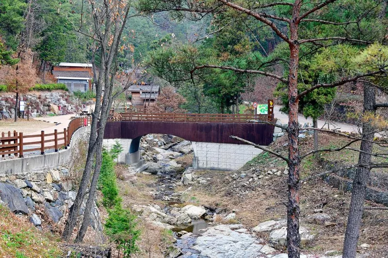 순천국민여가캠핑장 7