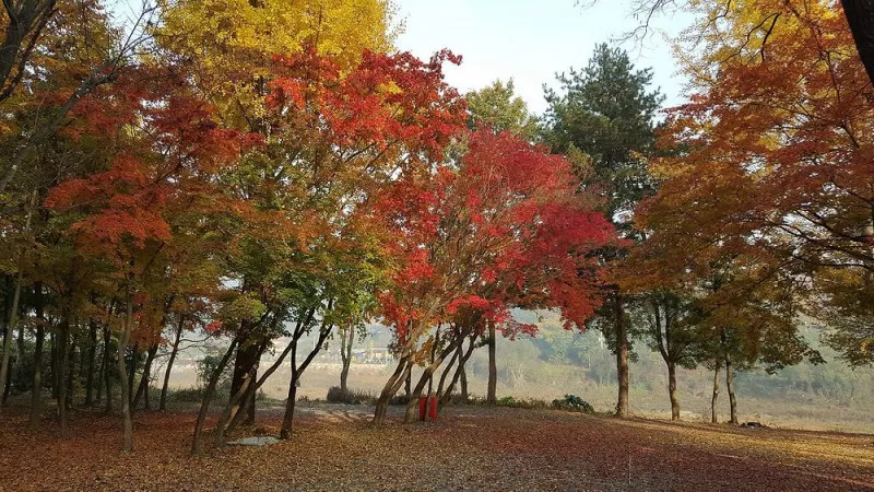 써니밸리오토캠핑장 11