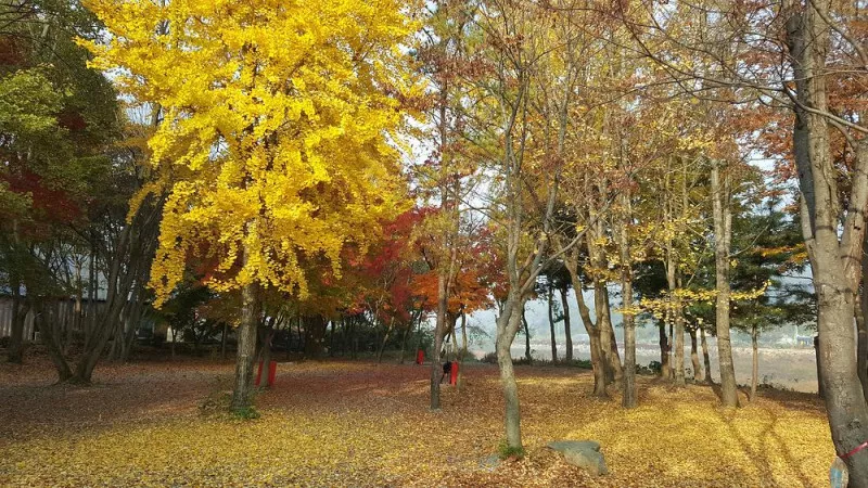 써니밸리오토캠핑장 9