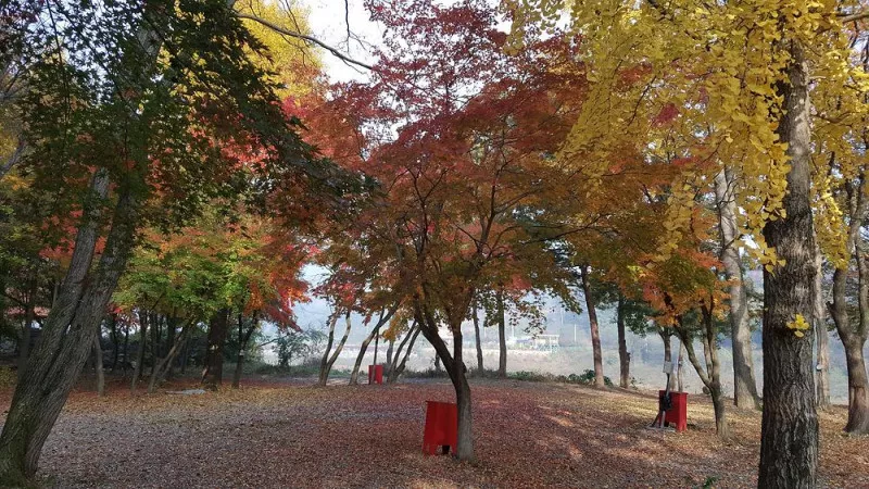 써니밸리오토캠핑장 10