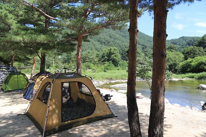 소금강 장천마을 캠핑장 1