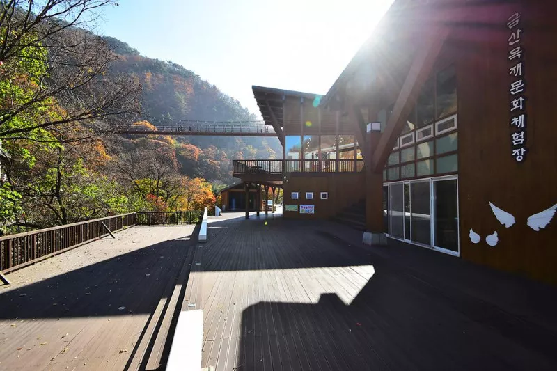 금산산림문화타운 8