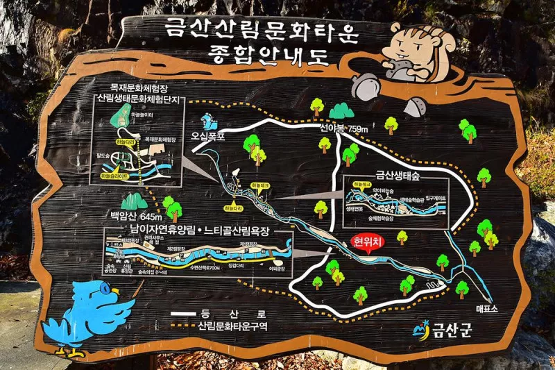 금산산림문화타운 9