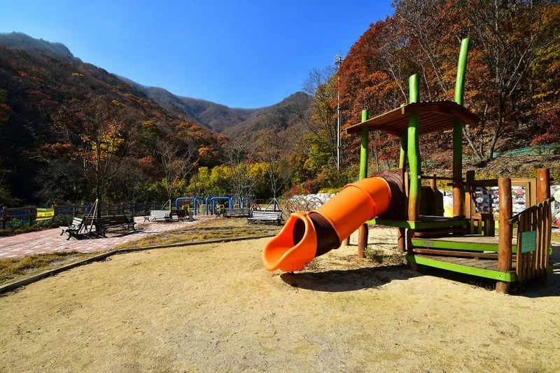 금산산림문화타운 2