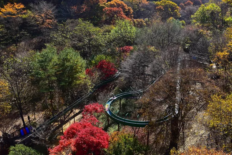 금산산림문화타운 4