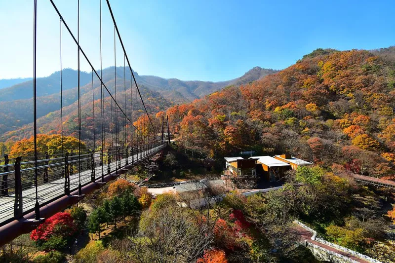 금산산림문화타운 3