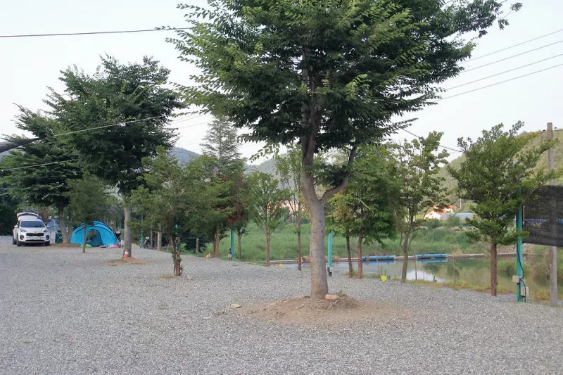 꿈꾸는시계 9