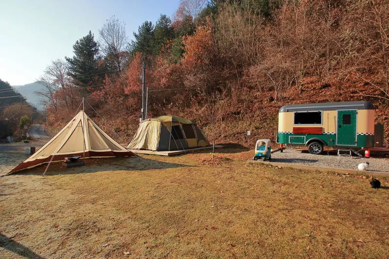 낭만캠프 8