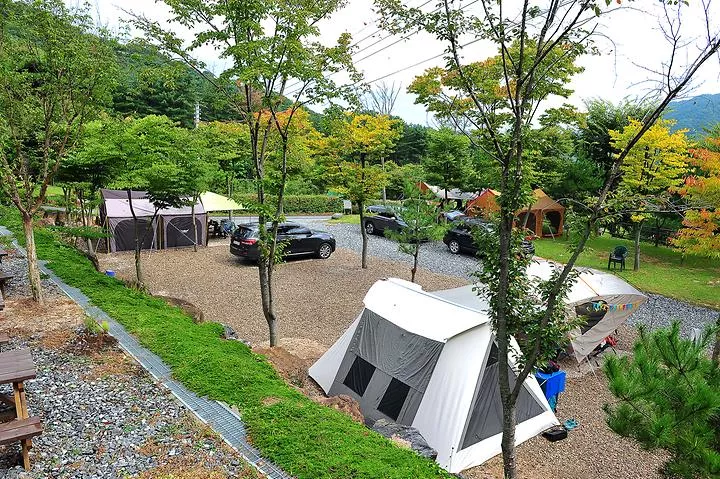 닥박골 휴양림 1