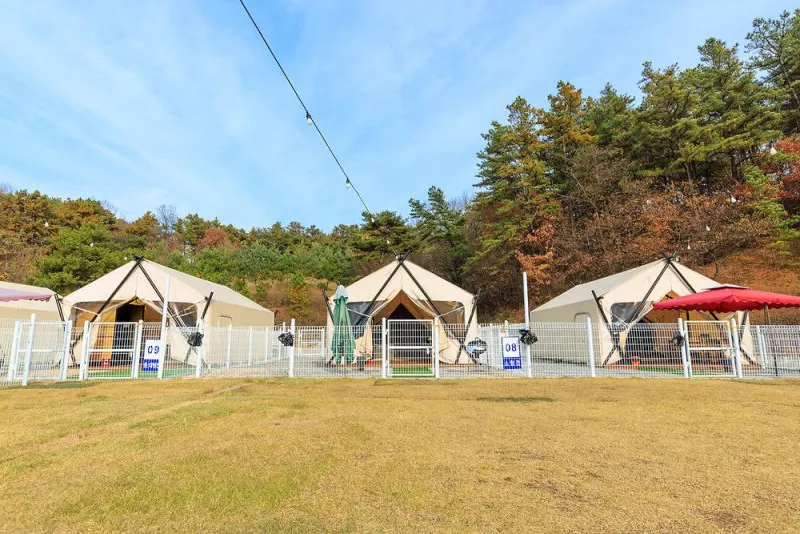 멍글멍글바베큐 6
