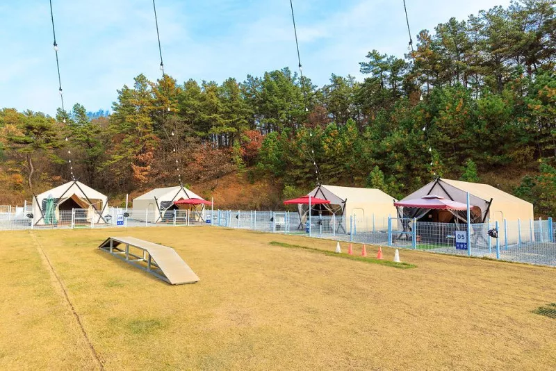 멍글멍글바베큐 5