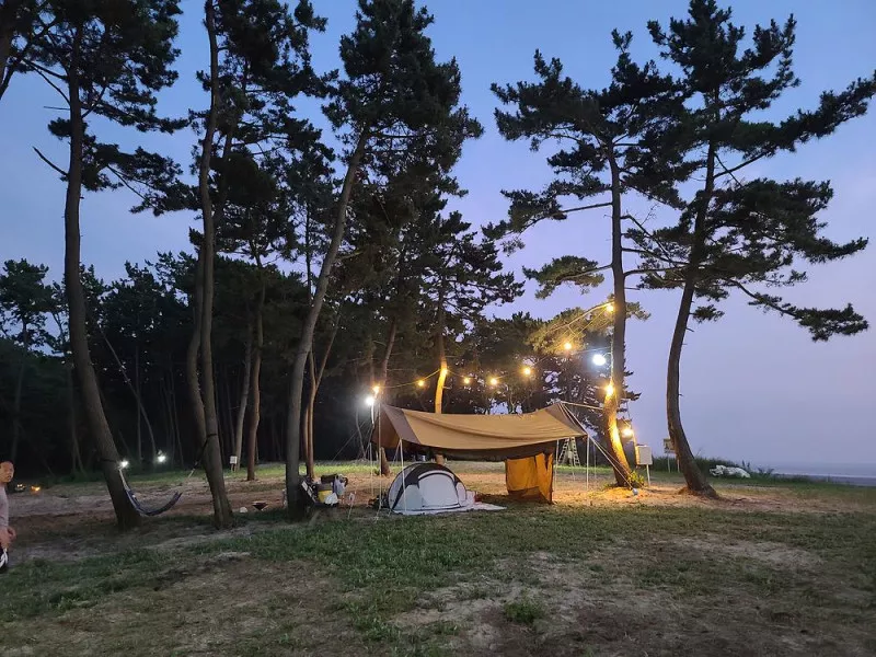 태안노을숲캠핑장 6