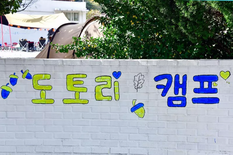 도토리캠프 6