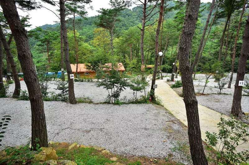 두레관광농원 아리솔캠핑장 11