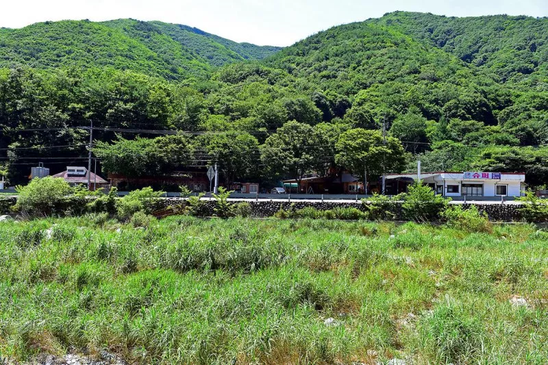 들살이오토캠핑장 8