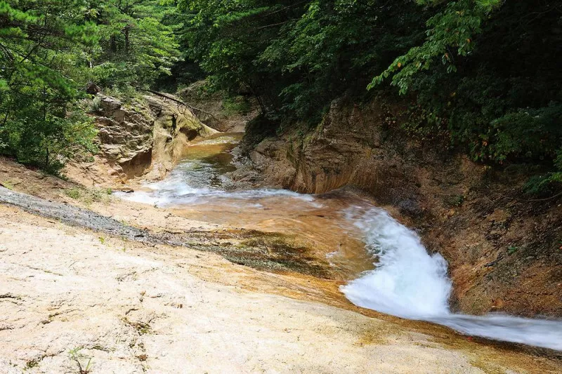 캠핑느루 6