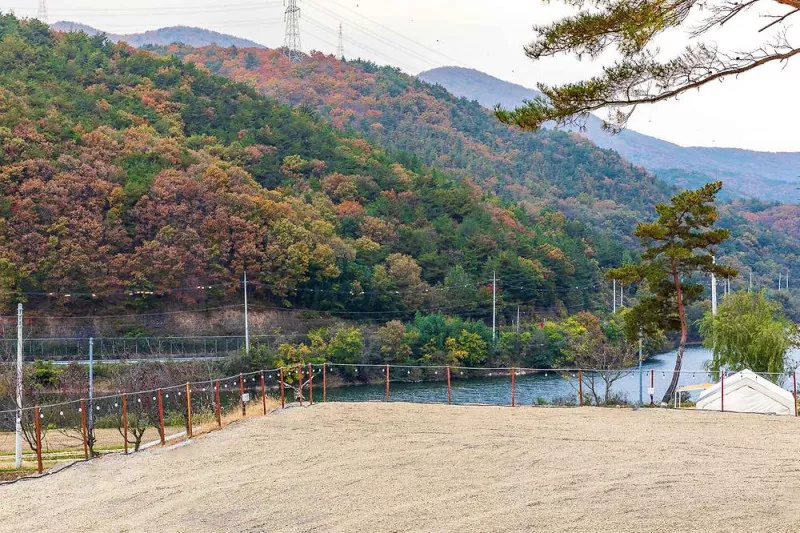 경주 캠핑573 8