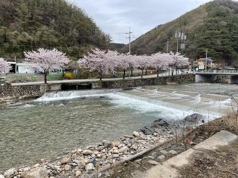 월악파머스캠핑장 10